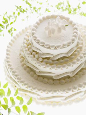 浜松にある会員が多い結婚相談所