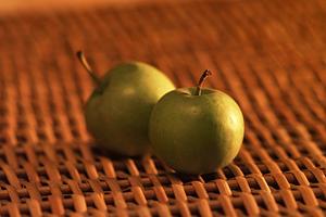 婚活について知りたいなら結婚相談所へ